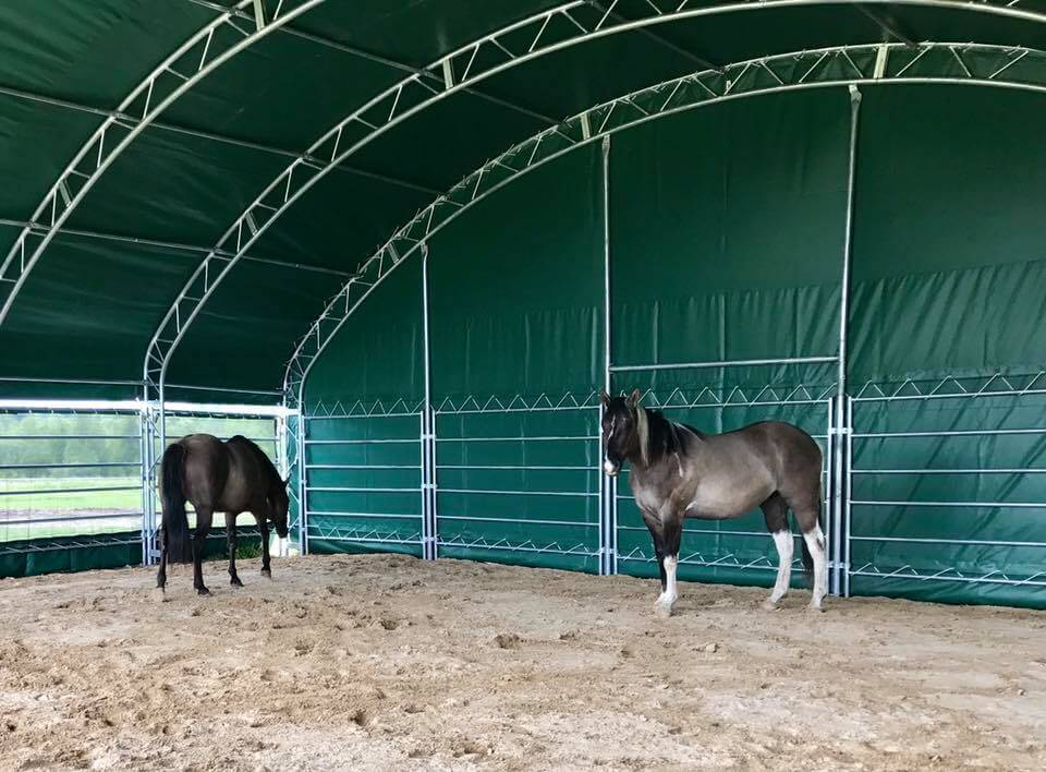 Tierunterkunft 8 m x 10 m x 4 m – Bild 4